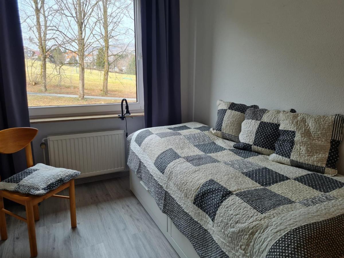 Grosse Wohnung - Kamin - Balkon - Boxspringbett - Skiwiese Braunlage Exteriör bild